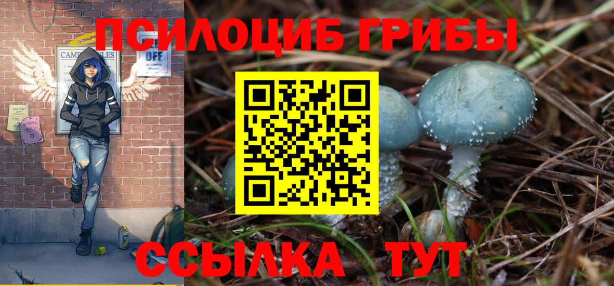 Галлюциногенные грибы мухоморы  где купить   Можга  Вход с VPN 