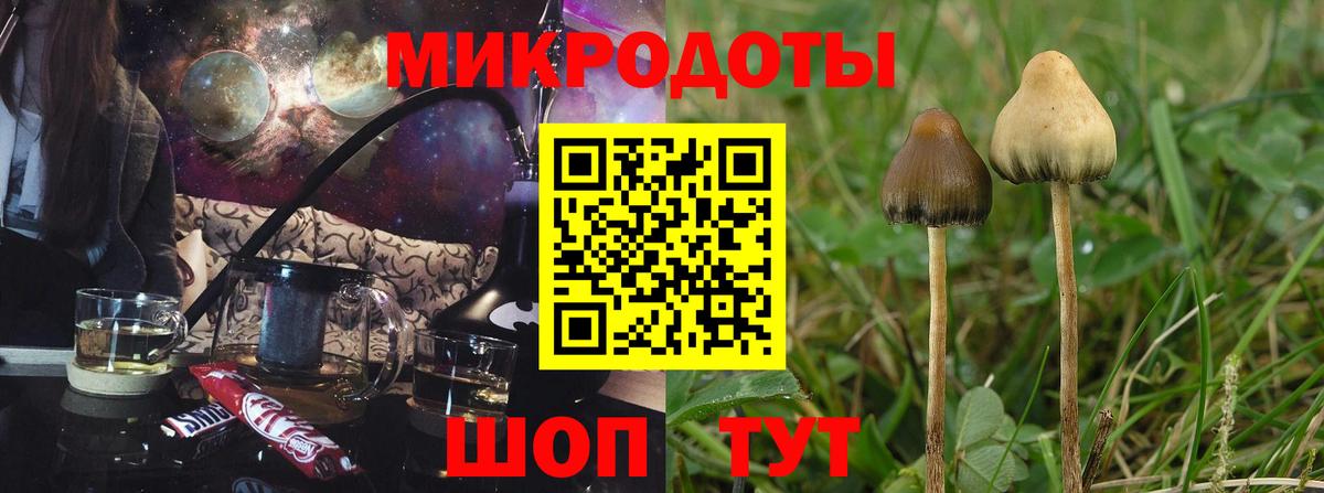 Псилоцибиновые грибы мицелий Можга